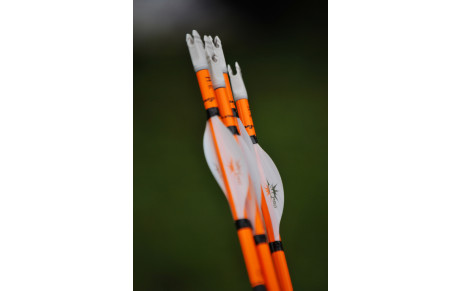 Inscriptions séances de tir