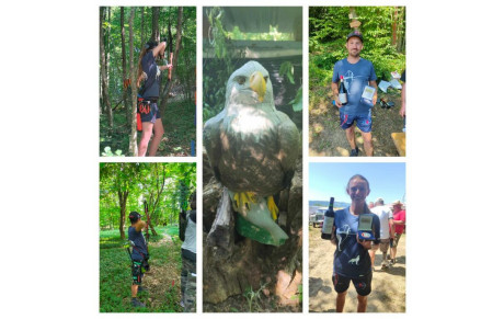 Championnat Départemental 3 D