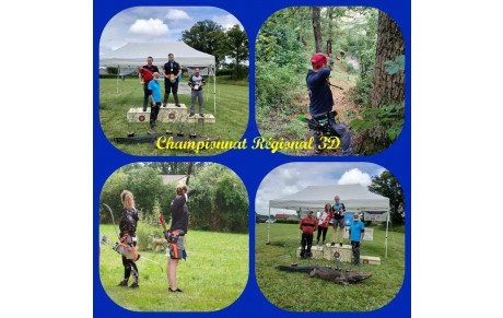 Championnat Régional 3D 