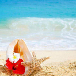 VACANCES ESTIVALES